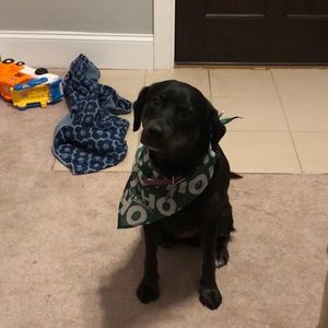 Meet your Posher, Jen